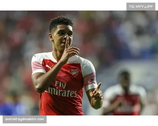 AC米兰年轻化进程成效显著 但稳定性不足成争冠短板