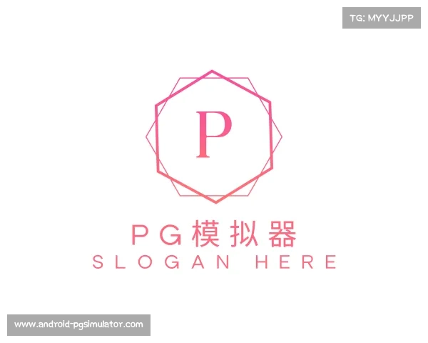 关于pg模拟器